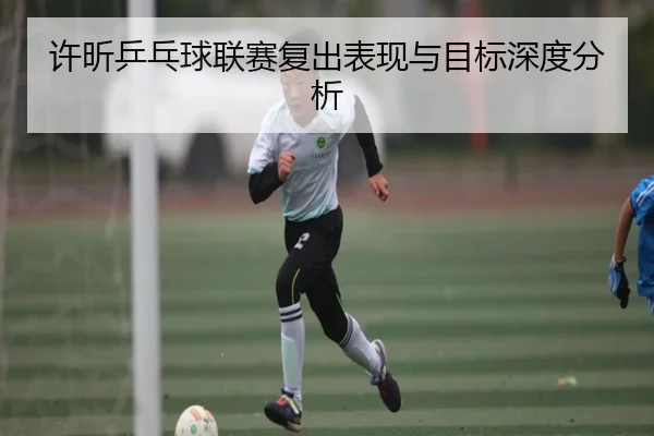 许昕乒乓球联赛复出表现与目标深度分析（99zhenren）